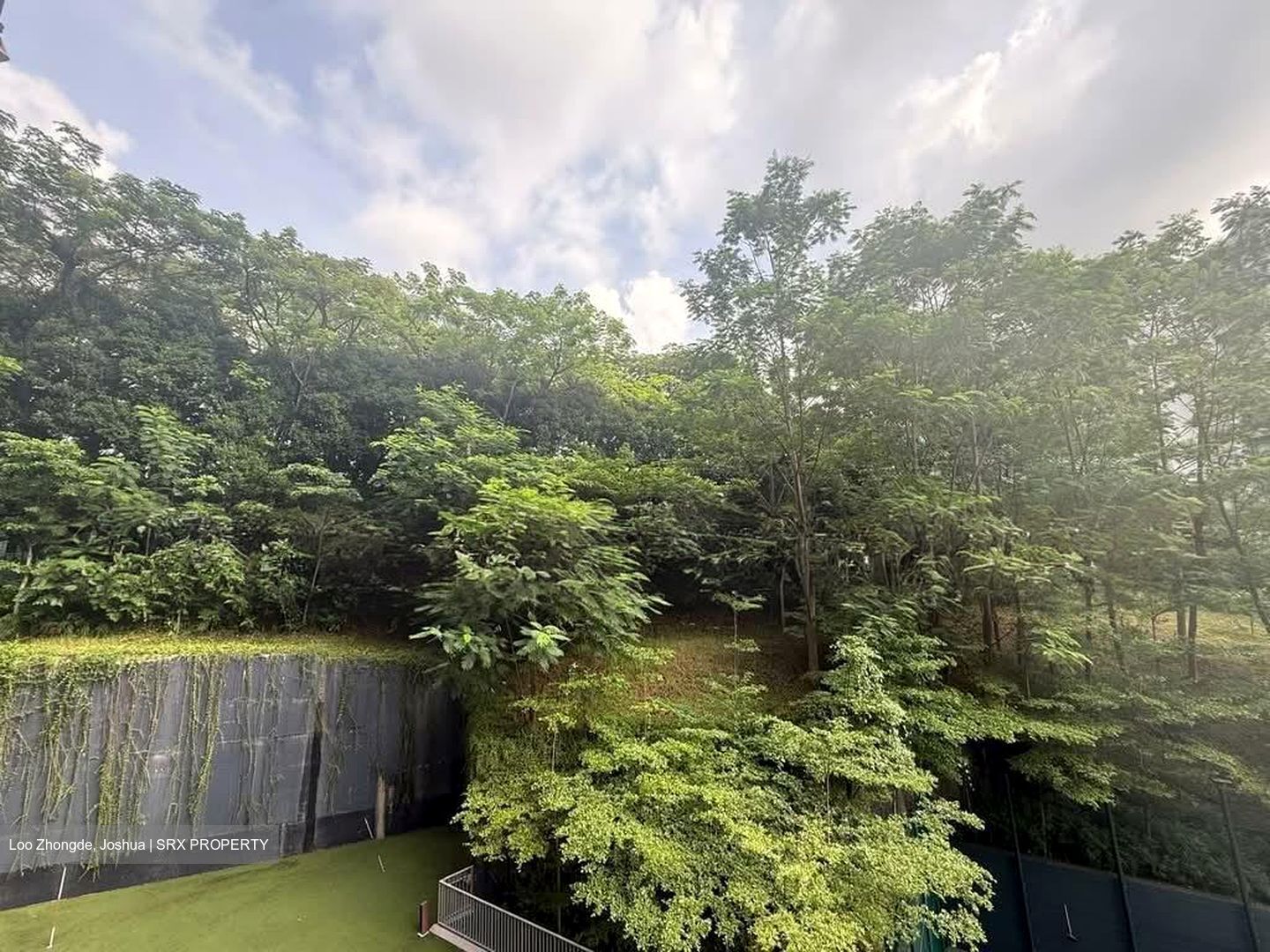 FORETT AT BUKIT TIMAH (D21), Apartment #561635921